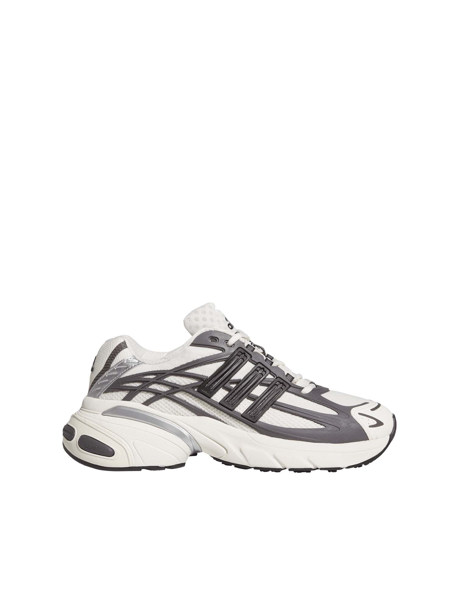 Scarpa adistar XLG 2.0