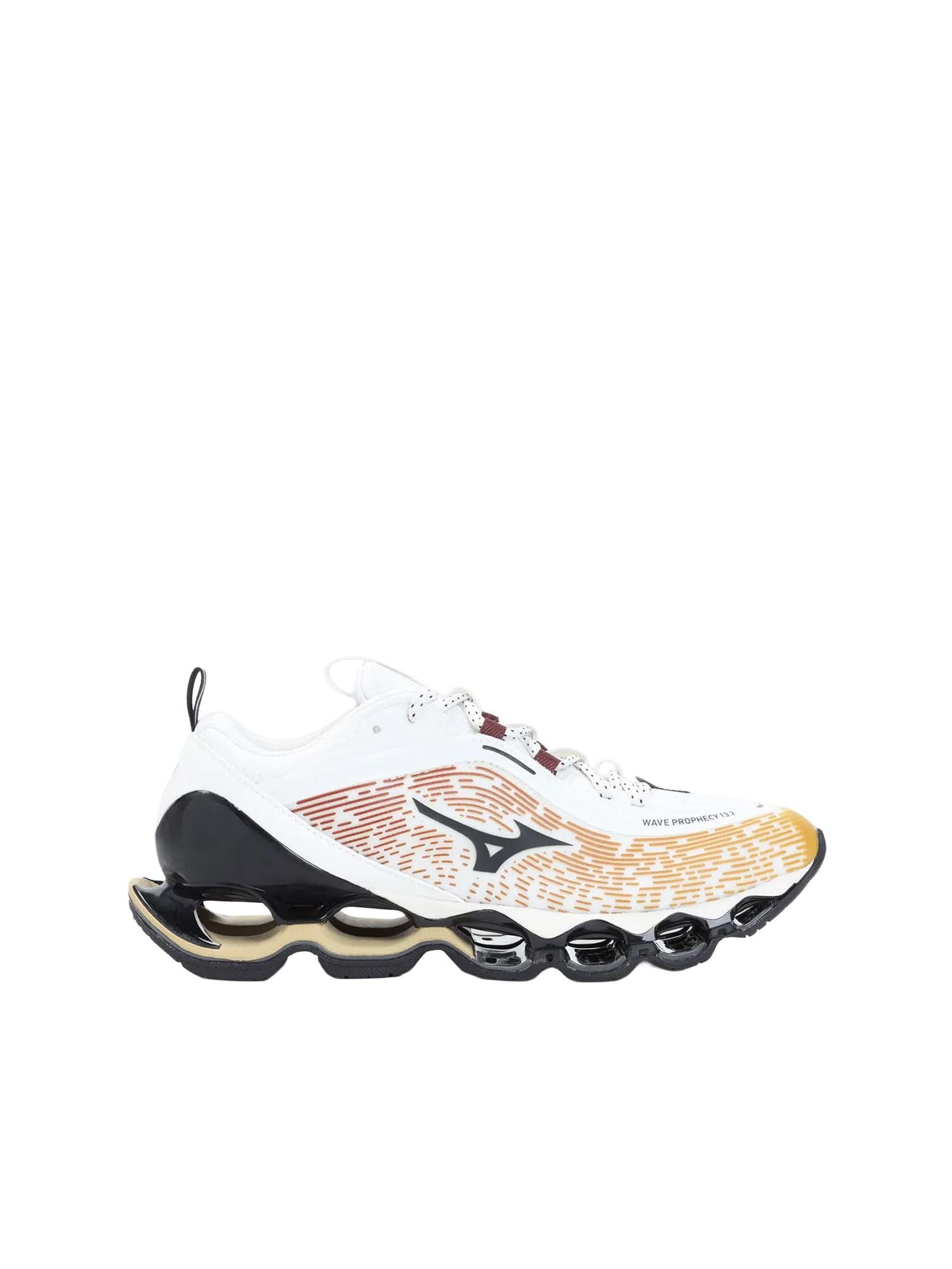 Mizuno Scarpe Wave Prophecy 13.2 Multicolore