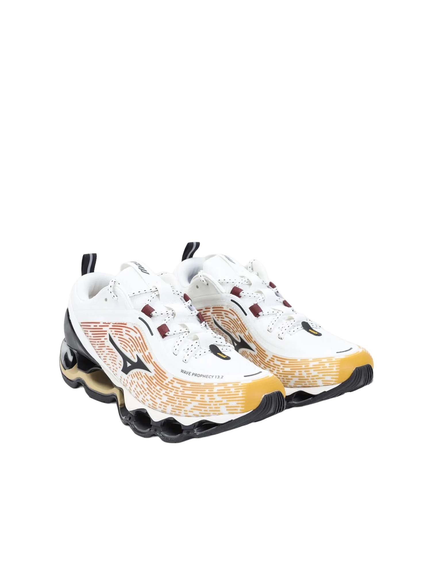 Mizuno Scarpe Wave Prophecy 13.2 Multicolore