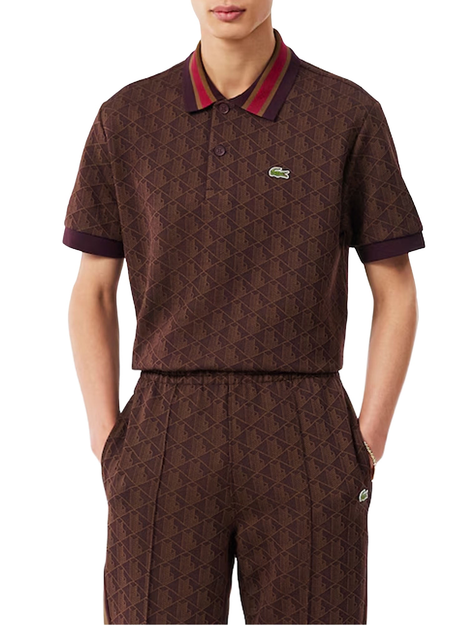 Lacoste Polo dal taglio classico in jacquard con monogramma Marrone