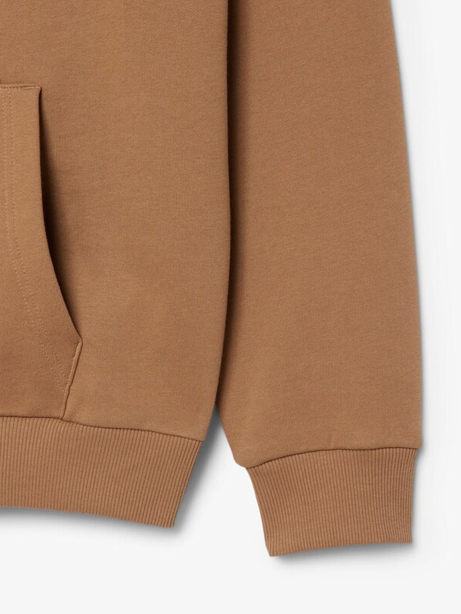 Lacoste Felpa con cappuccio in tessuto felpato Marrone