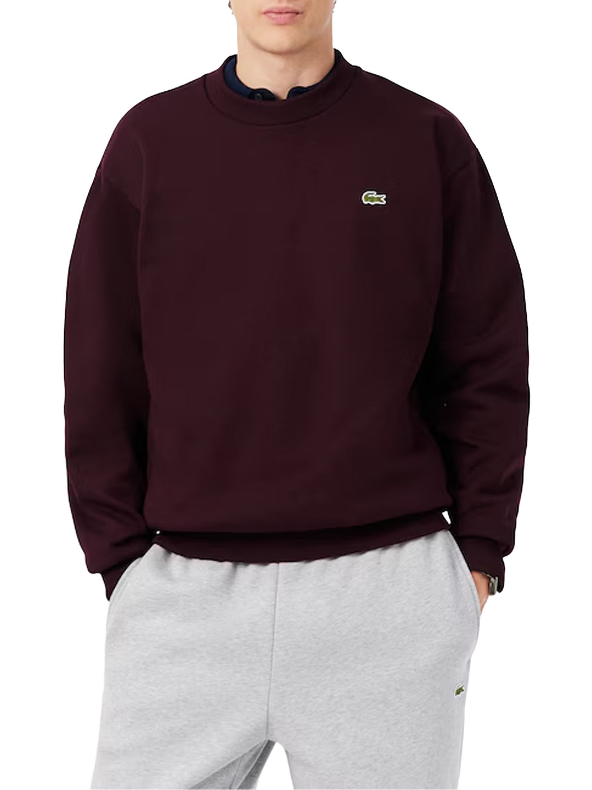 Lacoste Felpa in cotone Bordeaux