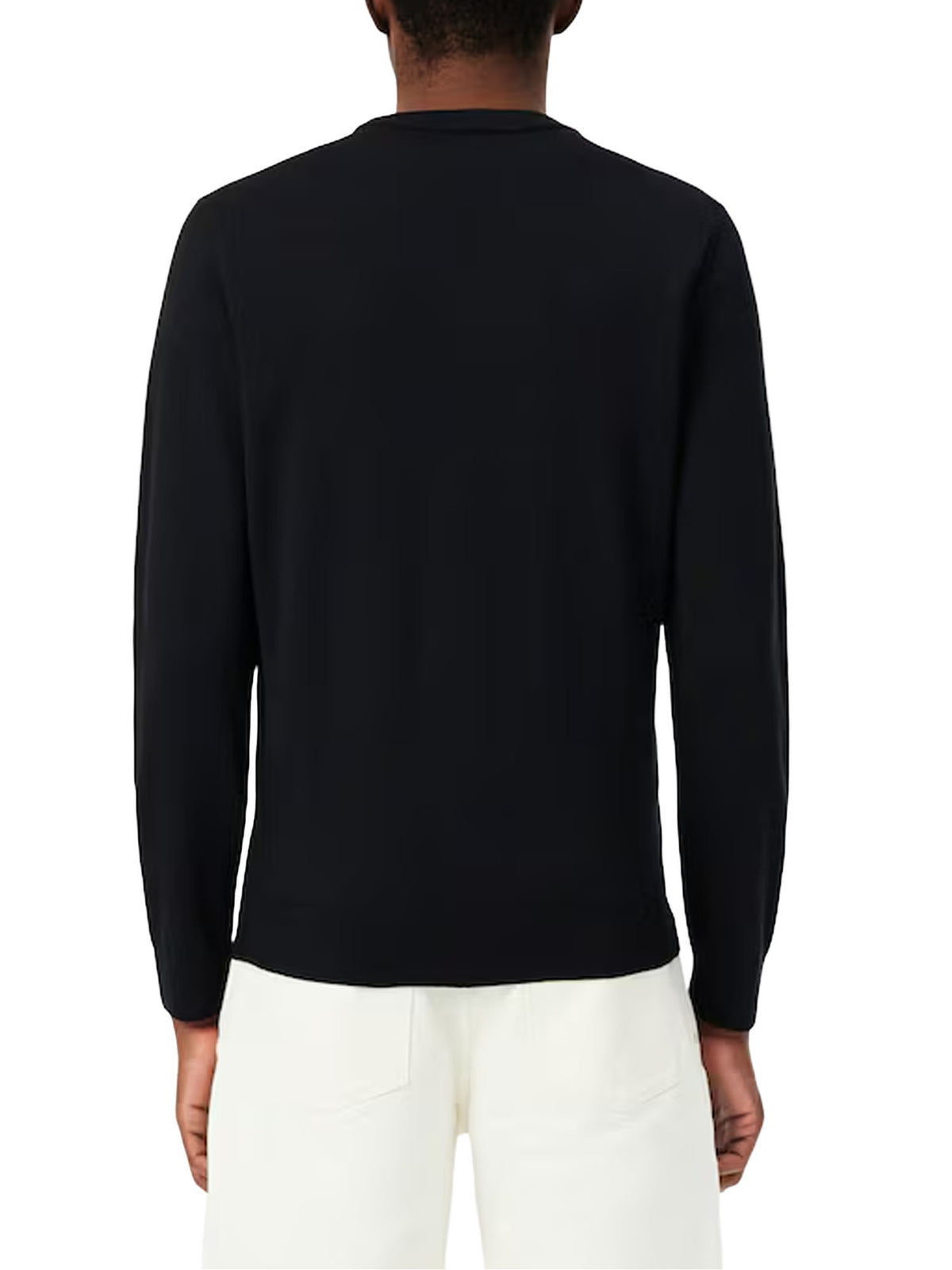 Lacoste Maglione girocollo in lana merino Verde