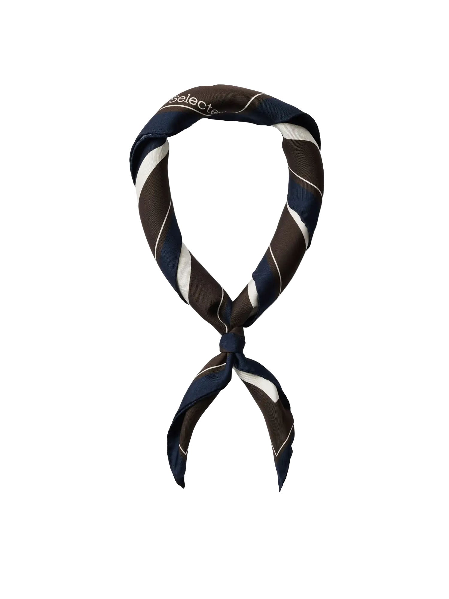 Selected Silk Scarf Marrone