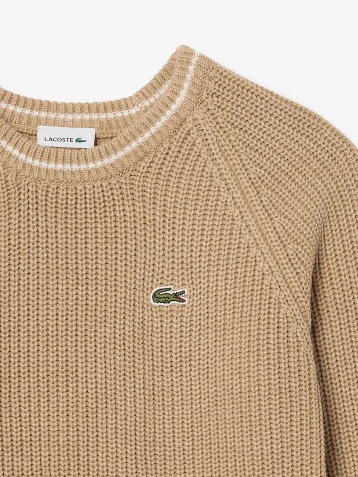 Lacoste Chunky Knit Core Bambino Marrone