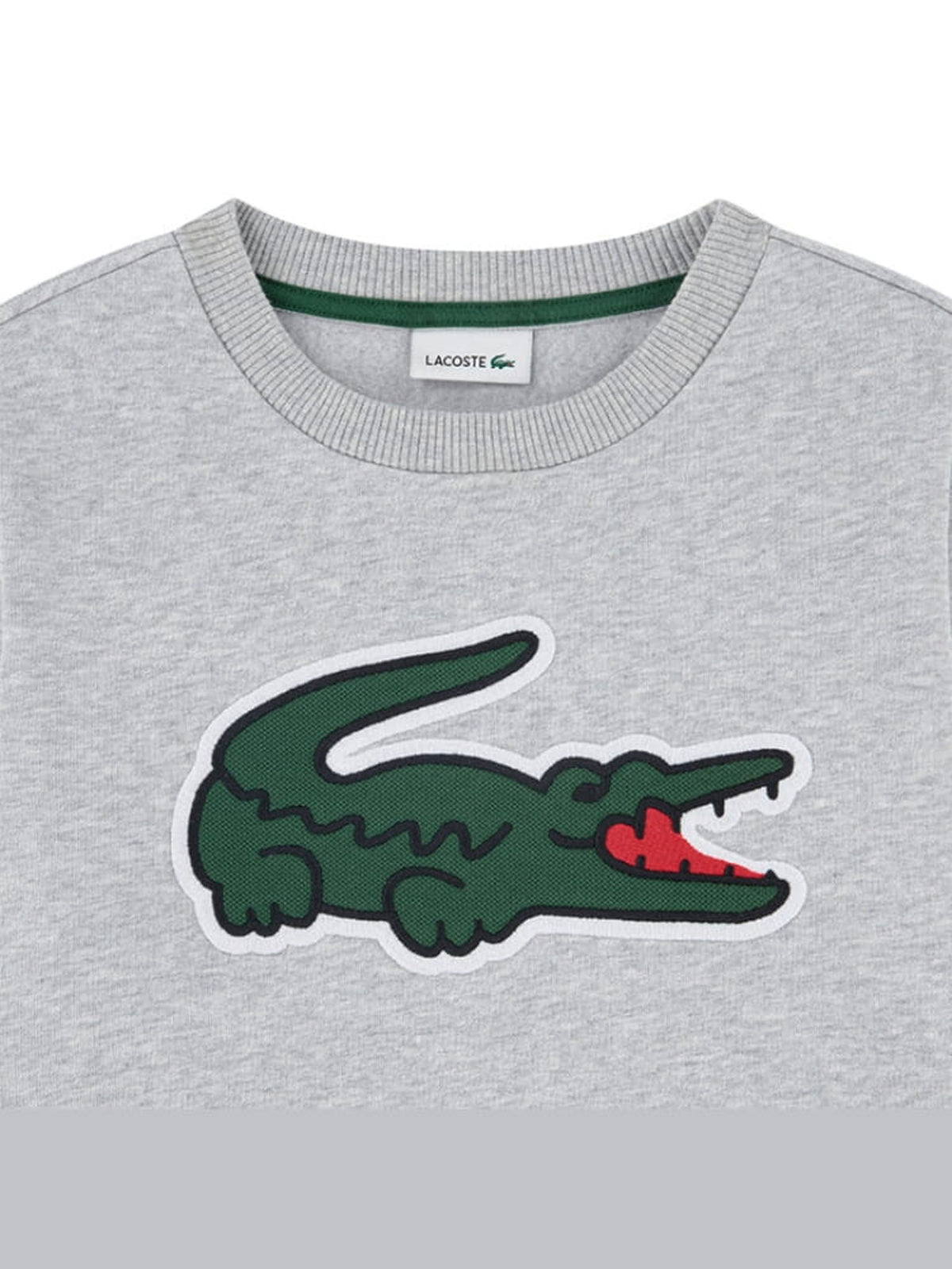 Lacoste Felpa in cotone con maxi logo patch Bambino Grigio