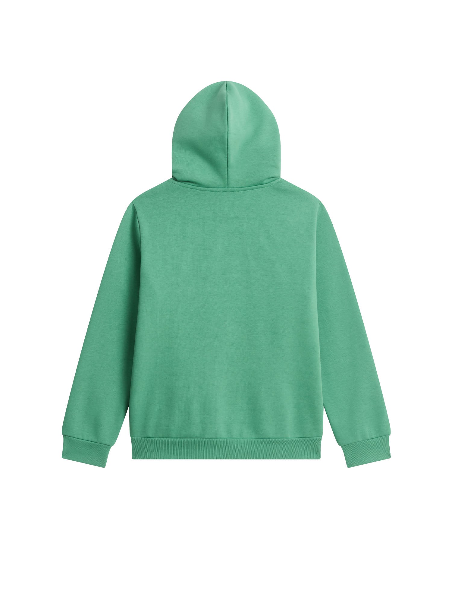 The North Face Felpa Con Cappuccio Evolution Simple Dome bambino Verde