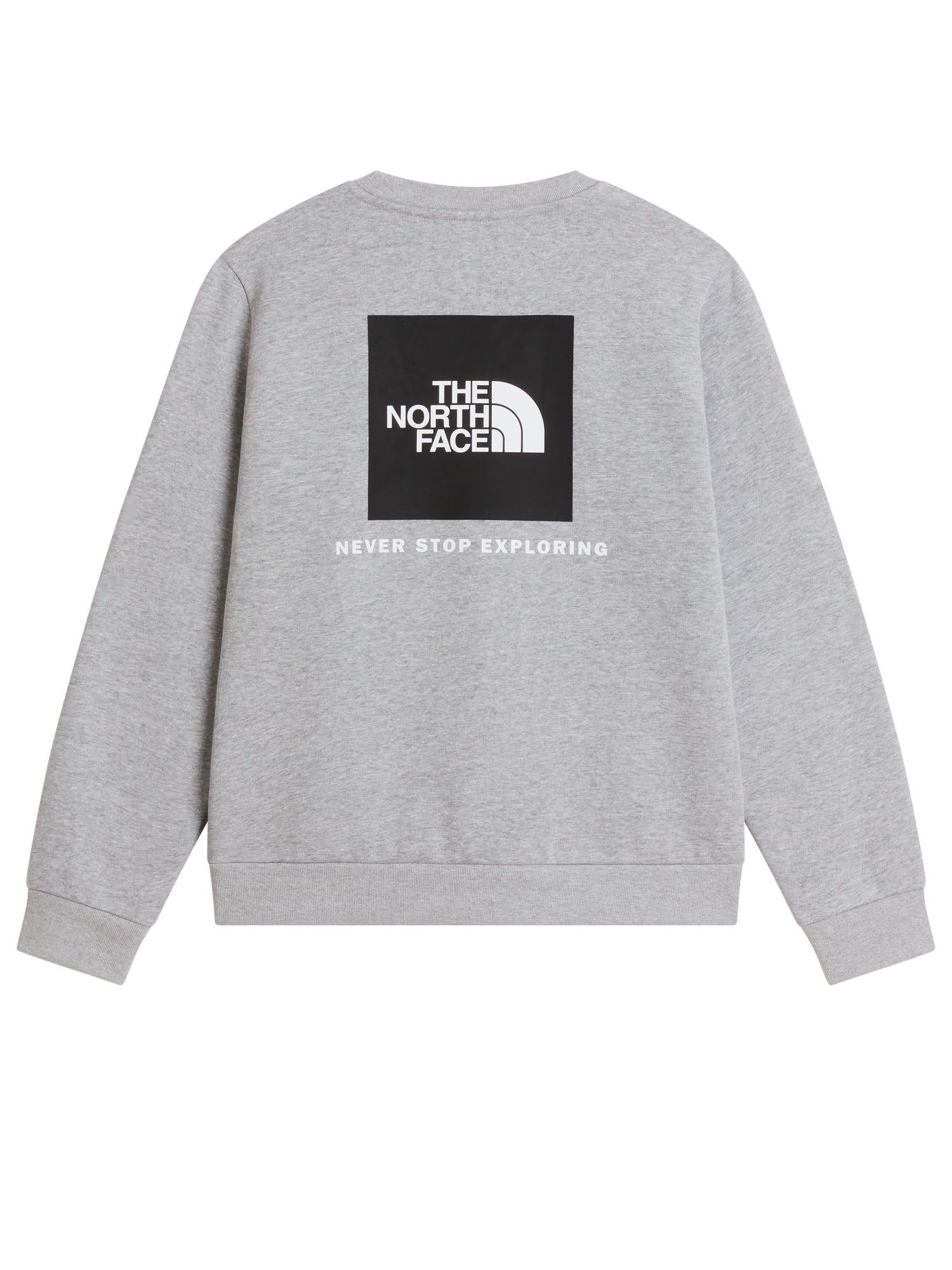 The North Face Evolution Box Nse Crew bambino Grigio
