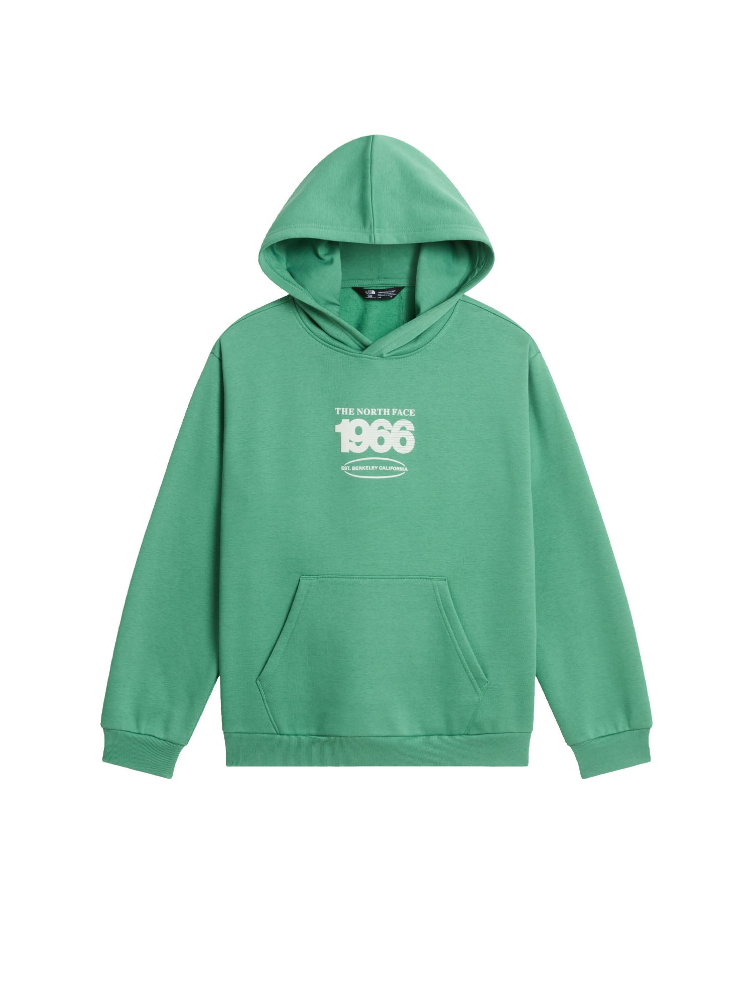 The North Face Track Relaxed Hoodie Graphic bambino Verde