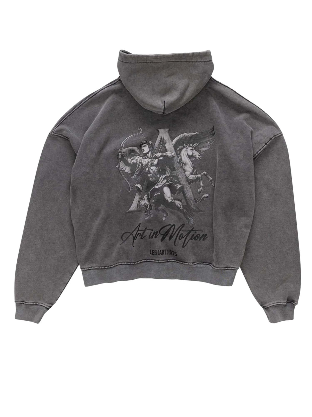 Les (art)ists Hoodie Zip Box Fir Art in Motion Grigio