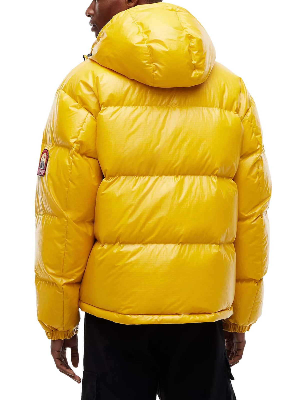 Tommy Jeans Piumino Alaska con finitura lucida e logo Multicolore