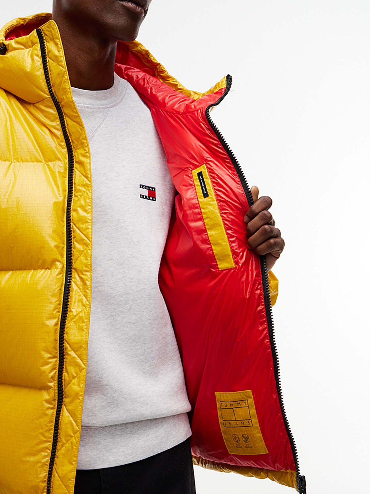 Tommy Jeans Piumino Alaska con finitura lucida e logo Multicolore