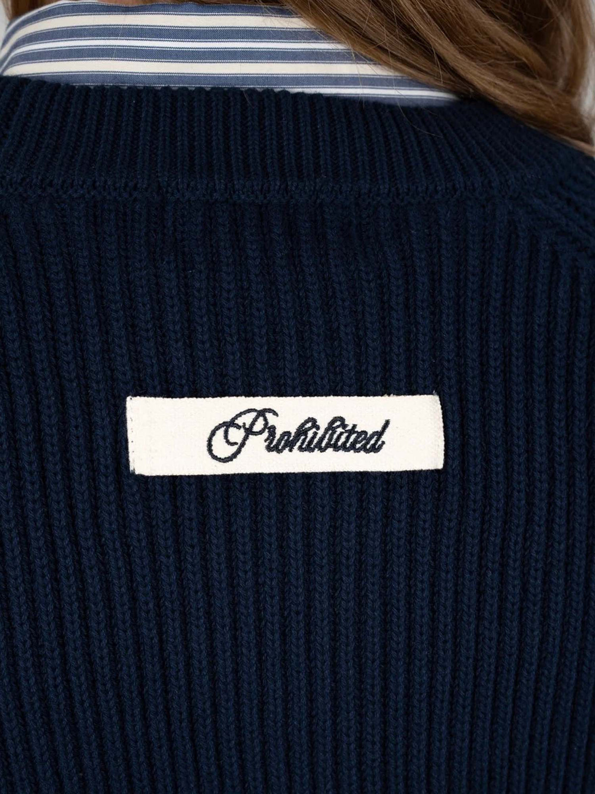 Prohibited Campus Knit Sweater Blu