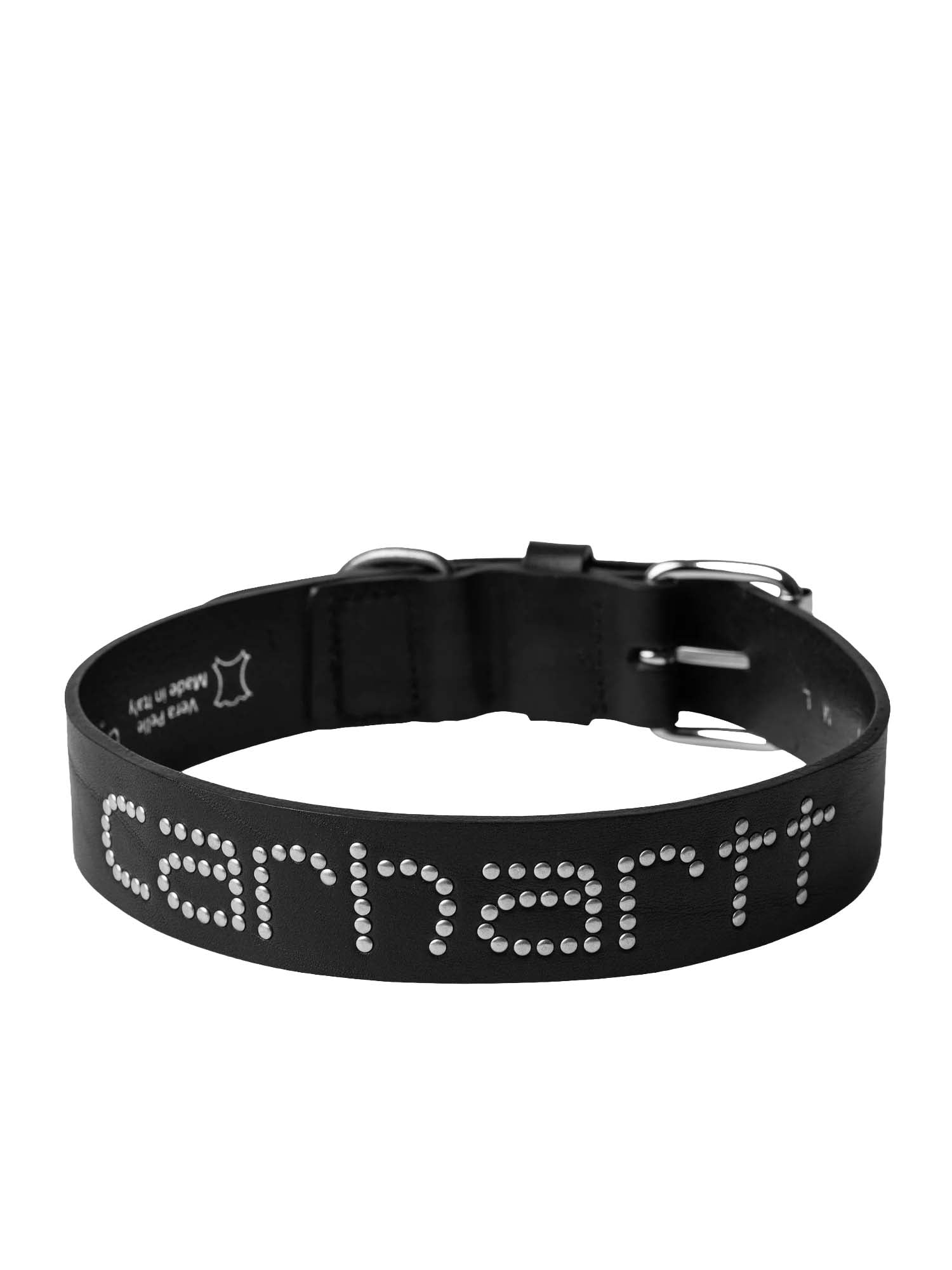 Script Studs Dog Collar M/L