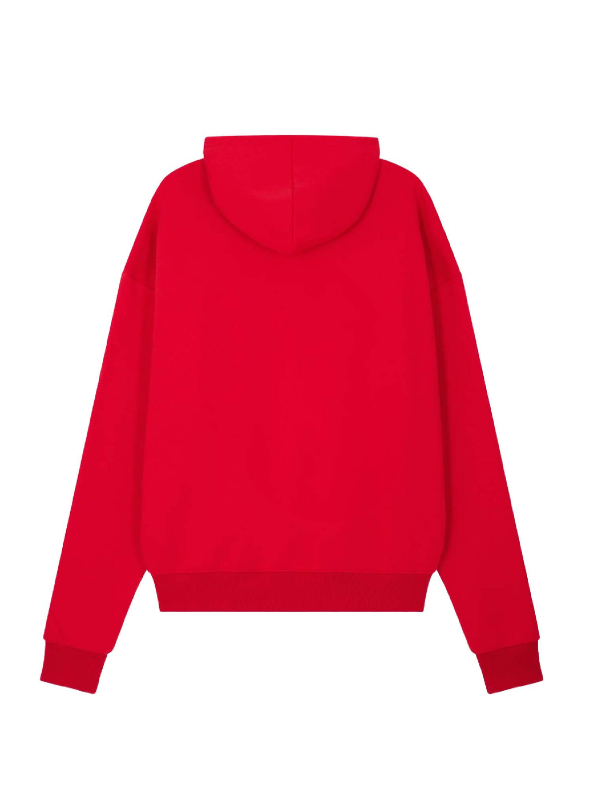 Project X Paris Felpa con cappuccio e zip unisex Essentials Rosso