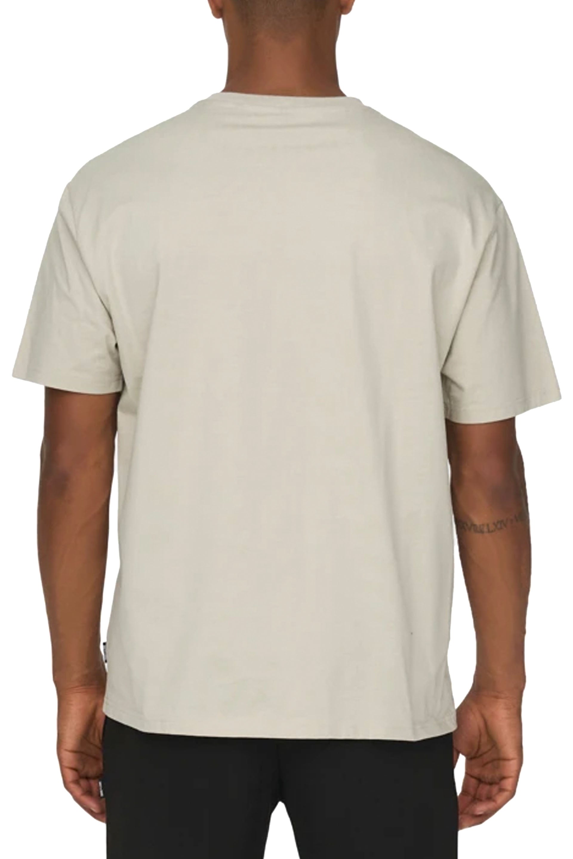 Only & Sons T-shirt Onsfred Grigio