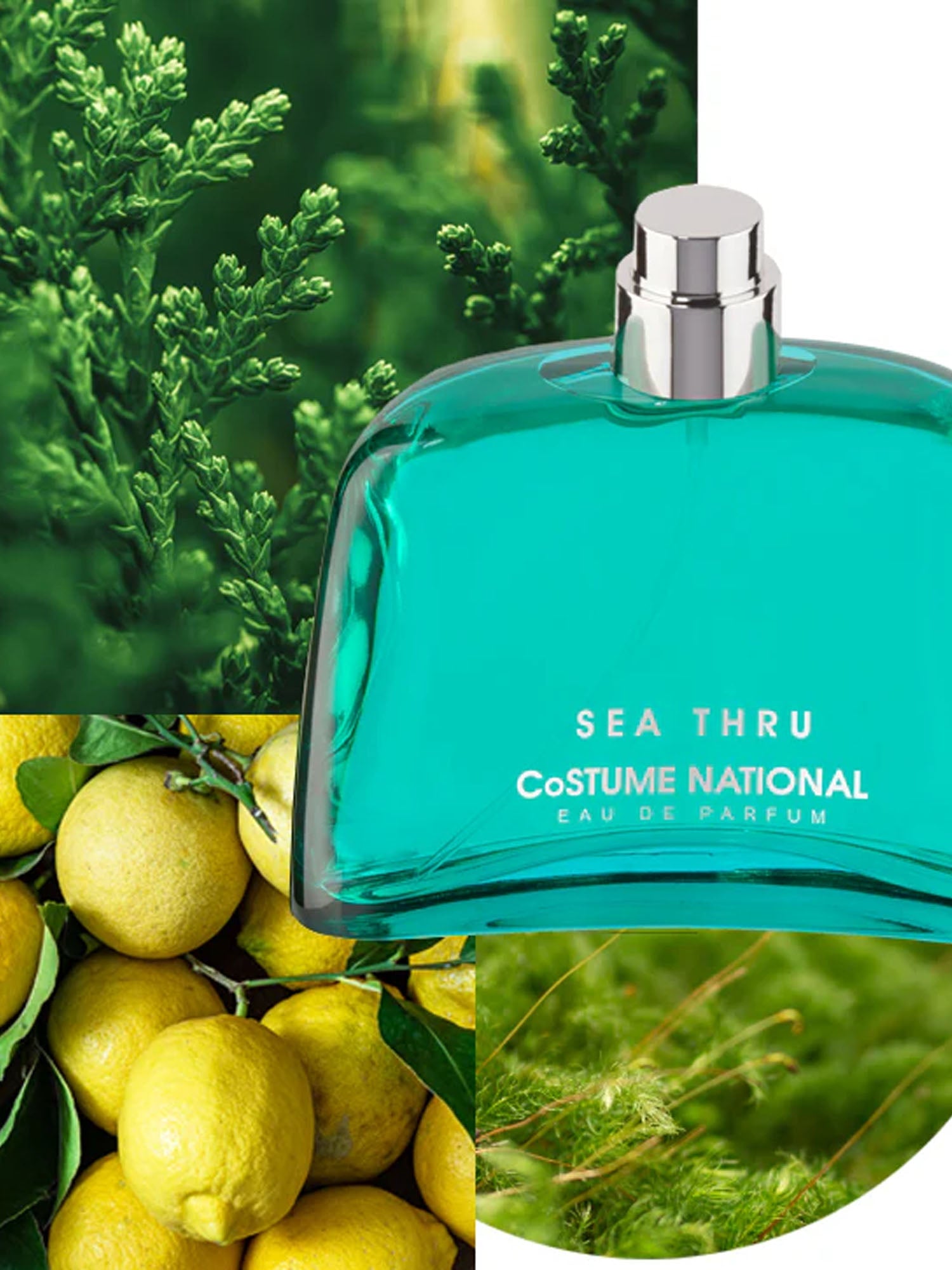 Costume National Sea Thru Eau De Parfum 100Ml Nero