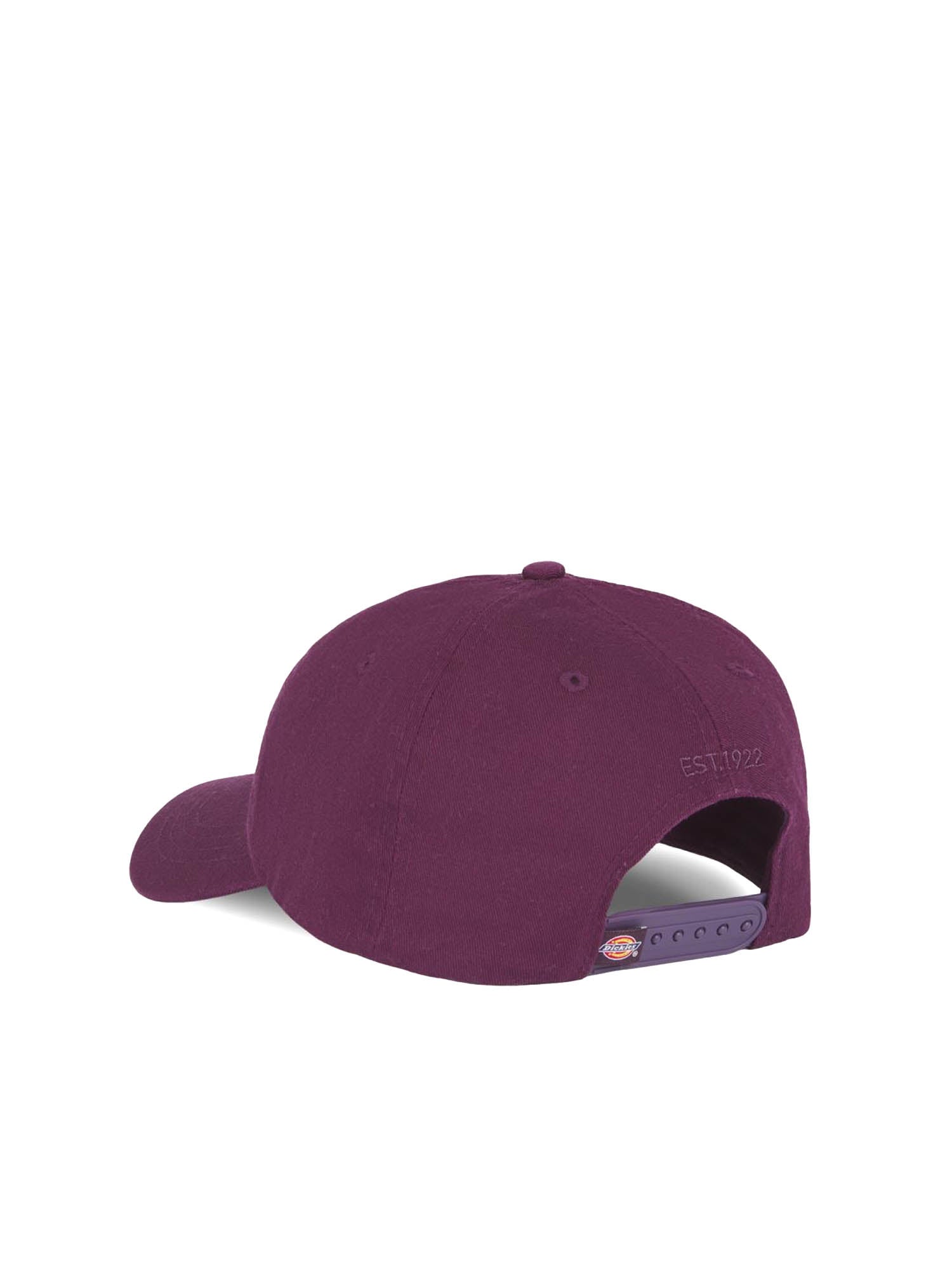 Dickies Cappellino Da Baseball Hardwick Viola