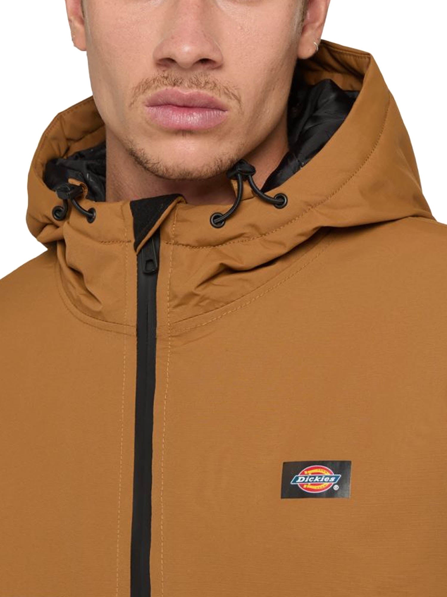 Dickies New Sarpy Jacket Marrone