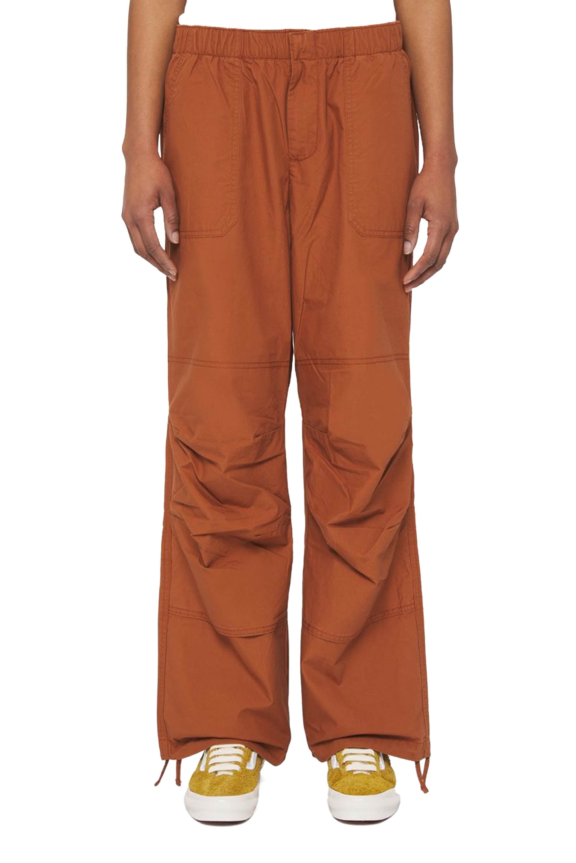 PANTALONI Marrone Dickies