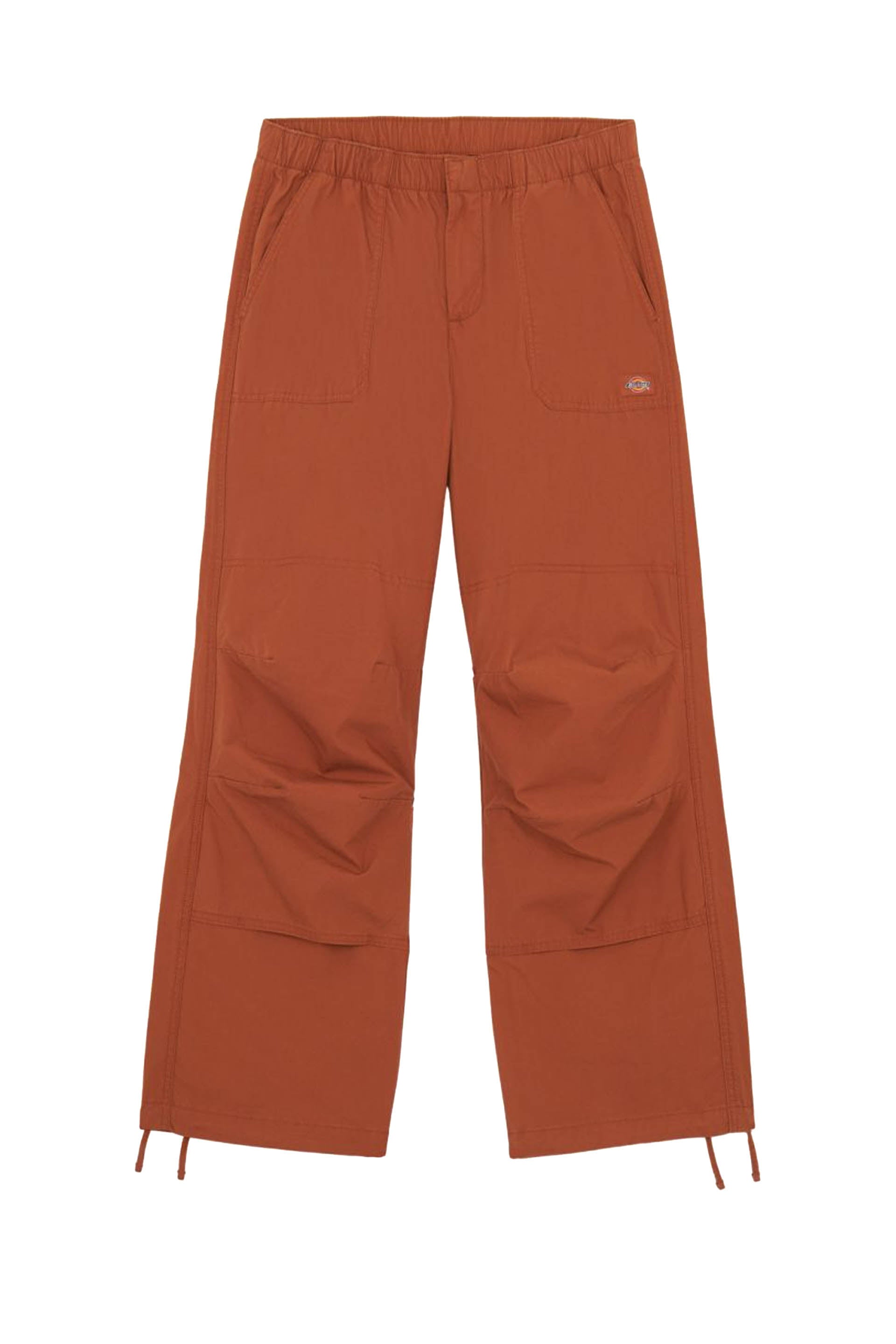 PANTALONI Marrone Dickies