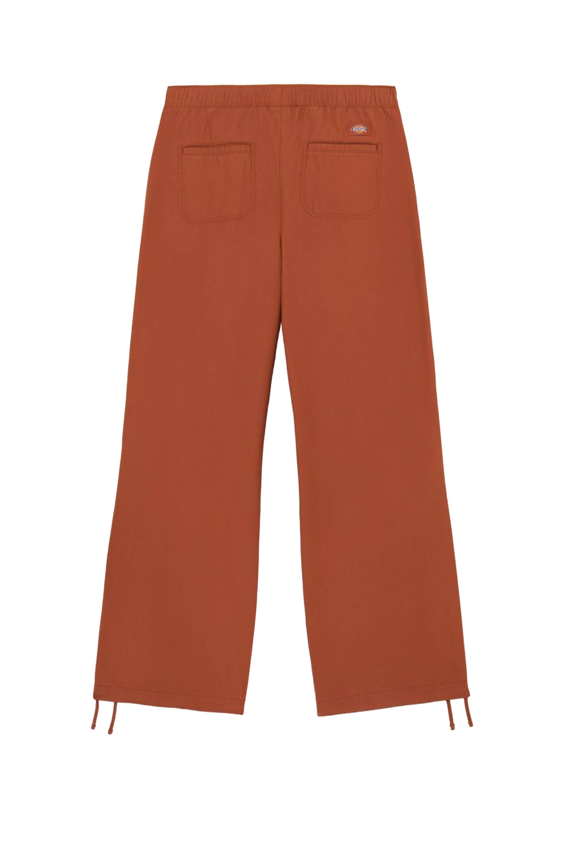 PANTALONI Marrone Dickies