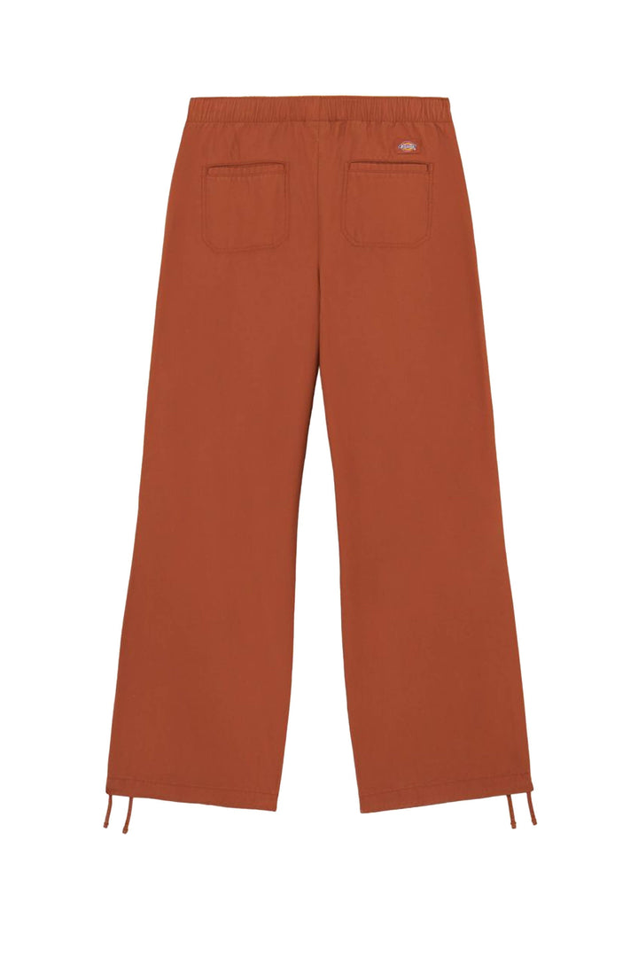 PANTALONI Marrone Dickies