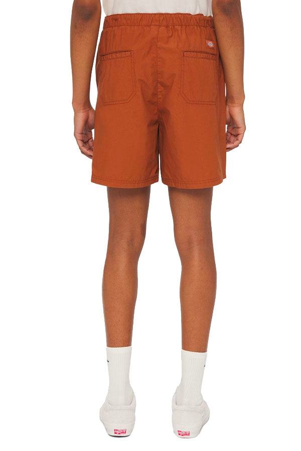 SHORTS Marrone Dickies