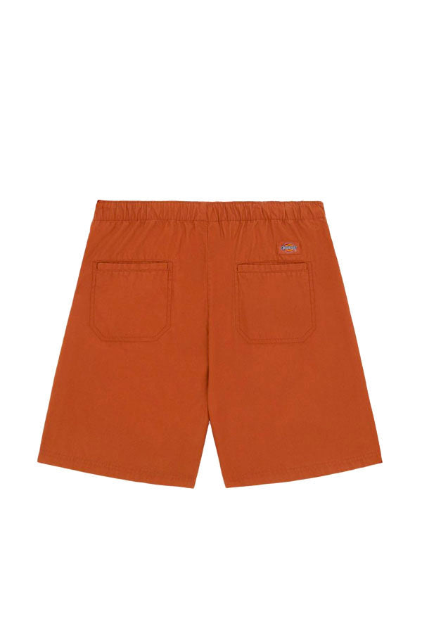 SHORTS Marrone Dickies