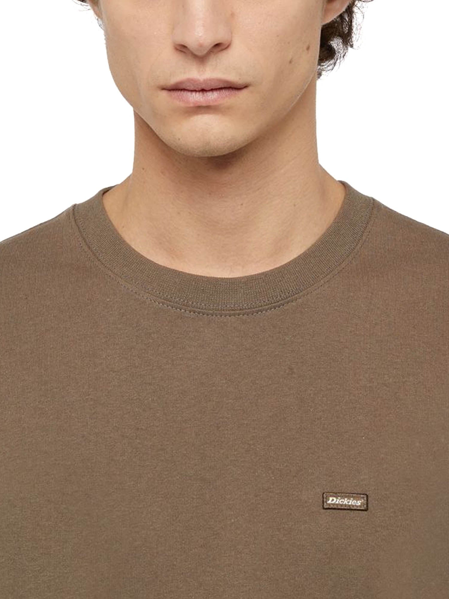 Dickies T-Shirt Clancy Heavyweight Marrone