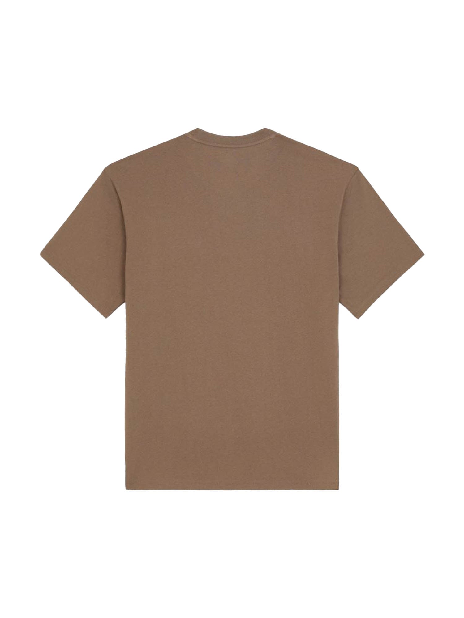 Dickies T-Shirt Clancy Heavyweight Marrone