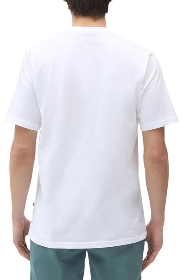 T-SHIRT Bianco Dickies