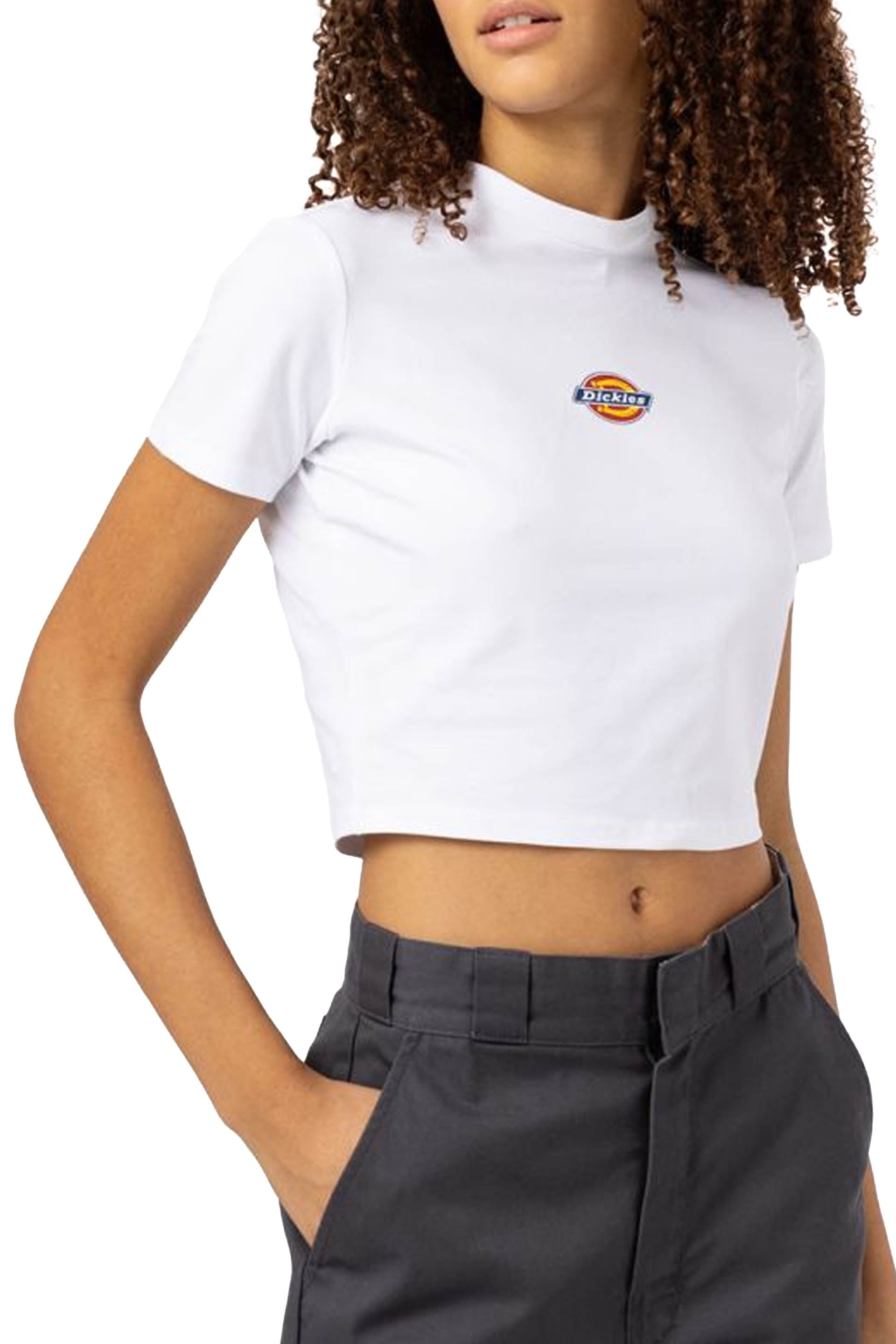 Dickies T-Shirt Maple Valley A Maniche Corte Bianco