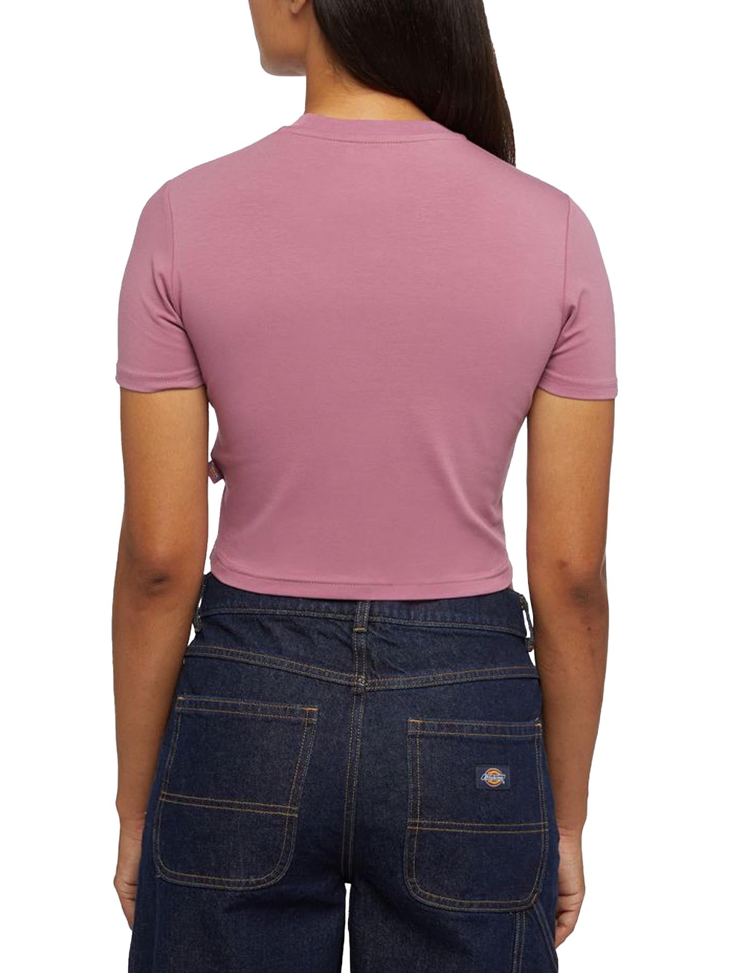 Dickies T-Shirt Maple Valley A Maniche Corte Rosa