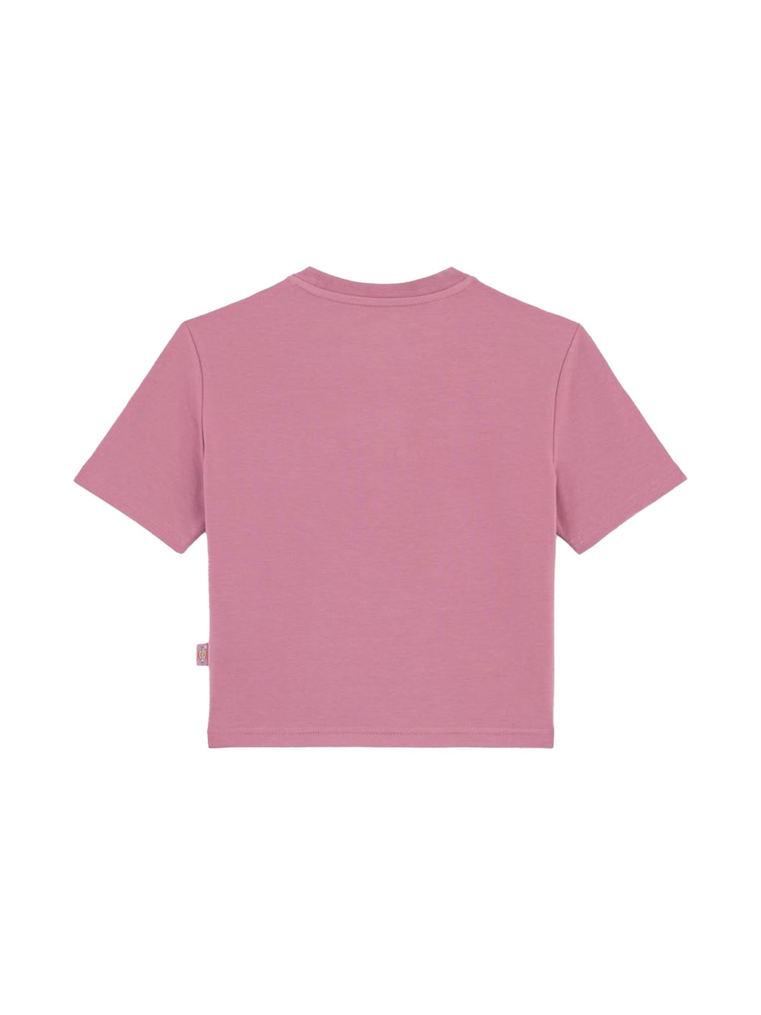 Dickies T-Shirt Maple Valley A Maniche Corte Rosa