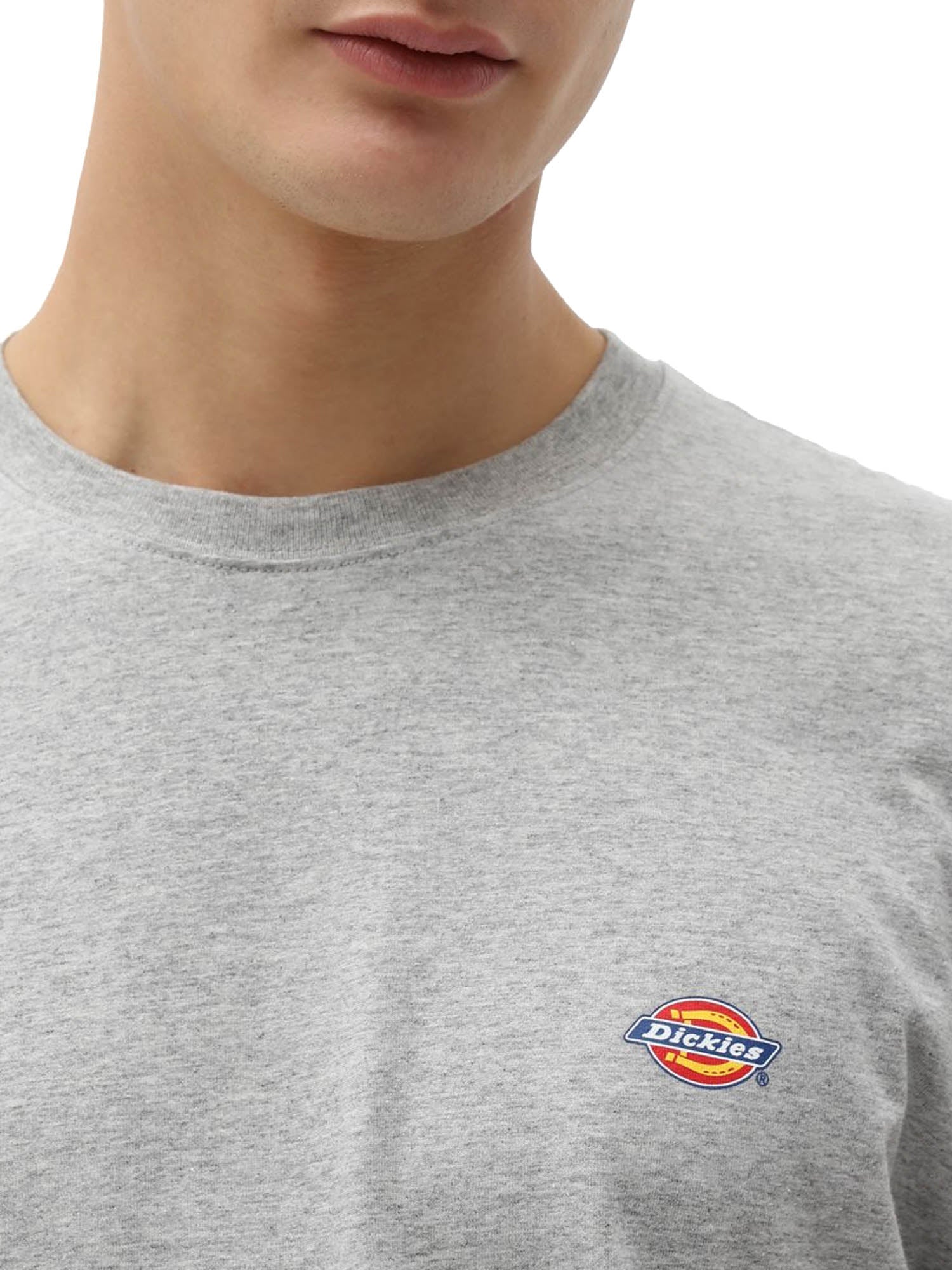 Dickies T-Shirt Mapleton A Maniche Corte Grigio