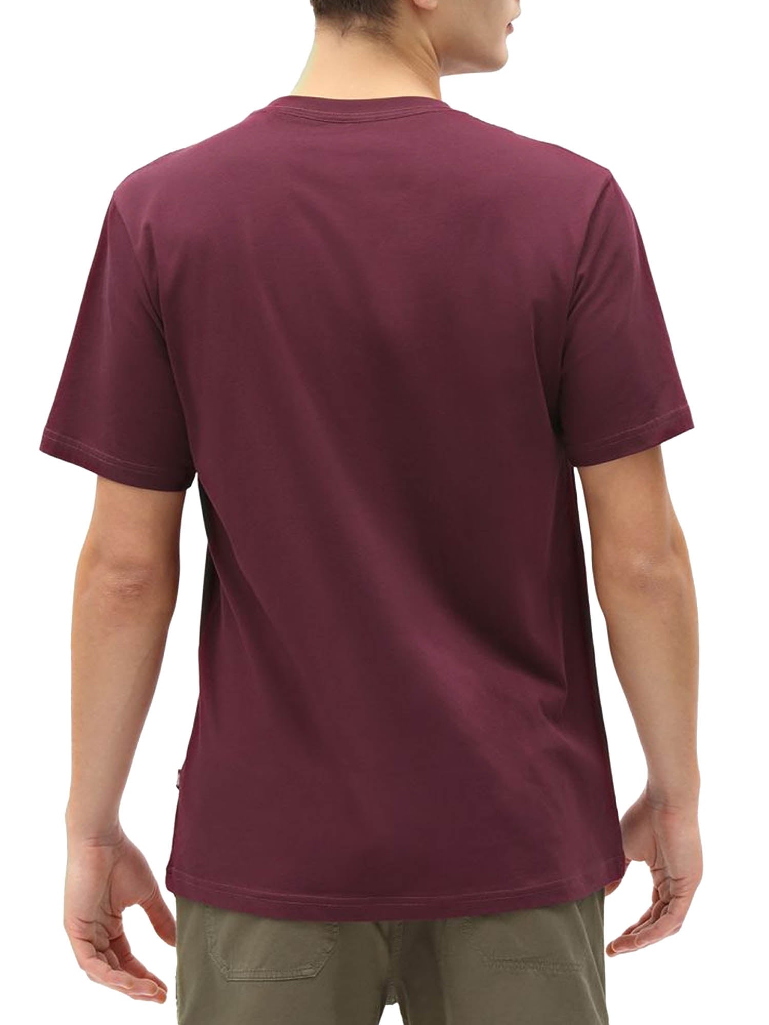 Dickies T-Shirt Mapleton A Maniche Corte Marrone