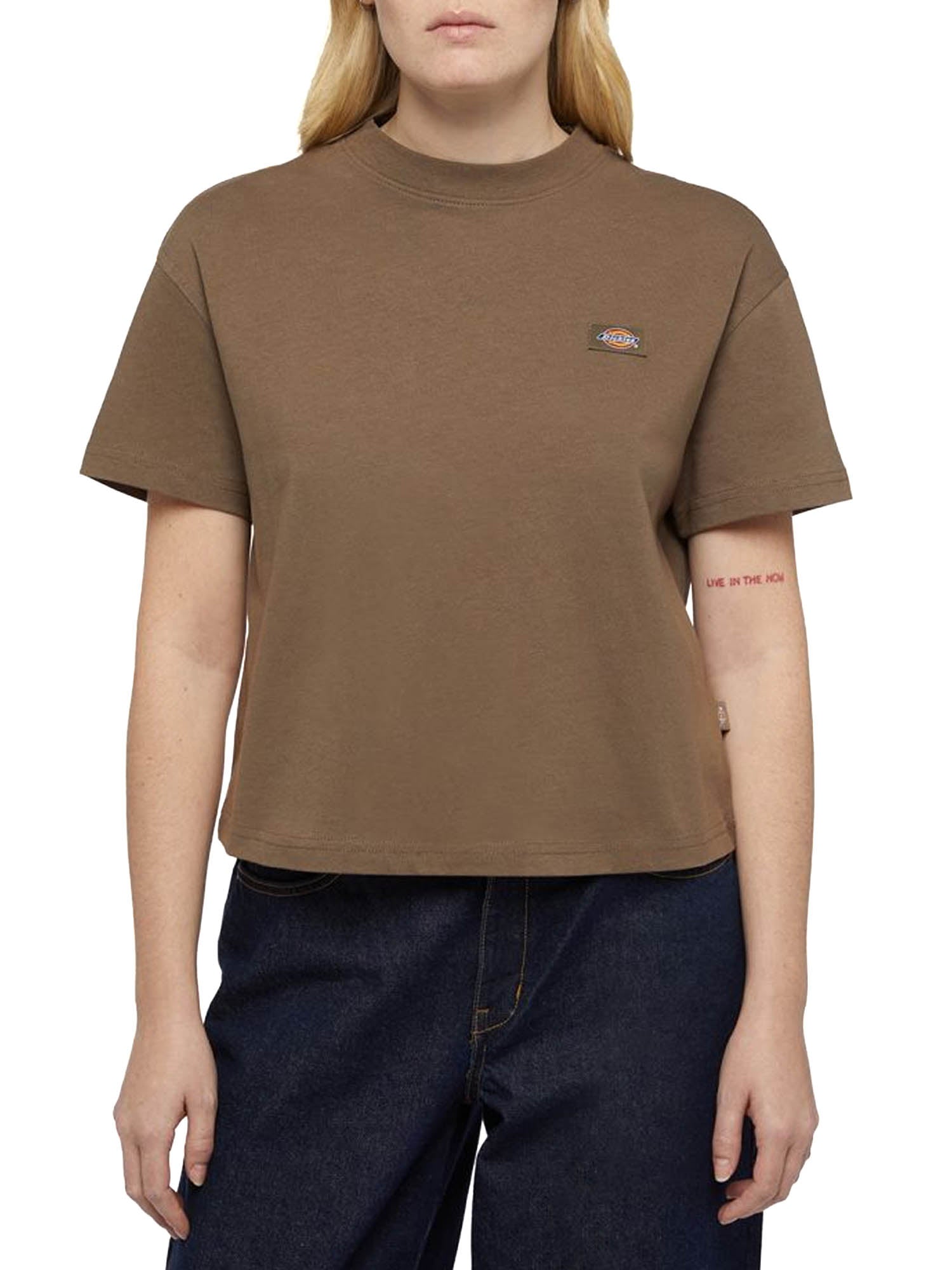 Dickies T-Shirt Oakport A Maniche Corte Marrone